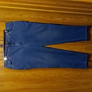 Gloria Vanderbilt average blue jeans women's size 22W used